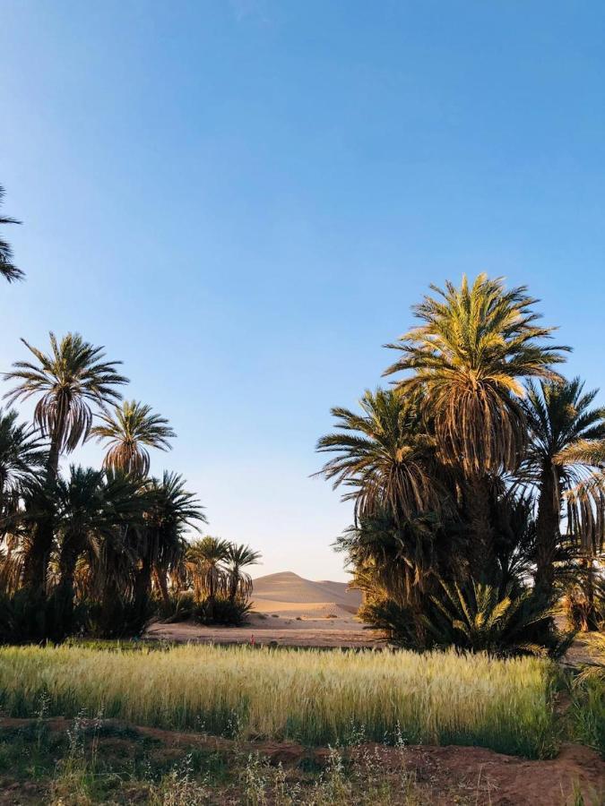 מחמיד Camp Auberge Sahara Marokko מראה חיצוני תמונה